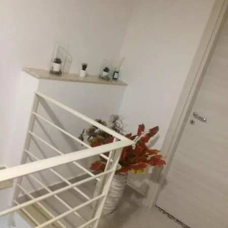 La Camelia サンタントーニオ・アバーテ
